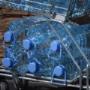 Emerita Transporte de carga por carretera distribución, venta de agua purificada y dispensadores. Emerita es una empresa nueva en el rubro que pretende acaparar la mayor clientela posible a través de su calidad y precio conveniente. Llámenos!