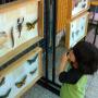 Exploracion