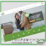 Pagina WEB