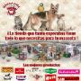 Desde su creación en el año 2002 hasta nuestros días M A U S A  L T D A ( FONOCAN.CL) se ha consolidado como una empresa dedicada a la distribución de alimentos para mascotas entregando el mejor servicio, calidad y puntualidad en sus , situándonos dentro de la comuna de maipú como líderes, así lo avalan nuestros clientes particulares, empresas y comerciantes.
Además contamos con un local completamente surtido con todo lo que nuestras mascotas necesitan: accesorios, medicamentos, arnés, collares, shampoo, anti garrapatas, capas, camas, alimentos medicados y toda una gama de alimentos en saco y a granel.
Desde el 15 de agosto 2016 inauguramos el Centro de estetica canino Mausa ltda, donde realizaremos peluquería, peinados, baños sanitarios, baños higiénicos, limpieza de oidos, corte de uñas etc.