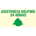 Asistencia Delpino 24 Horas