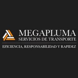 Camión Pluma Mega