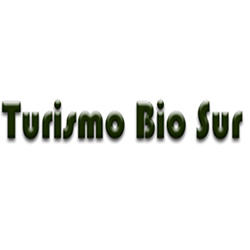 Transfer - Turismo Bío Sur