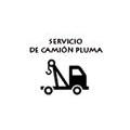 Servicios de Camión Pluma
