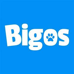 Bigos