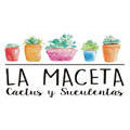 La Maceta