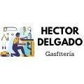 Héctor Delgado