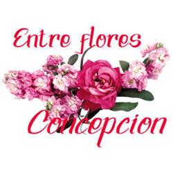 Entre Flores Concepción