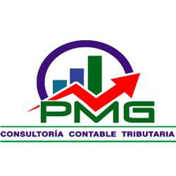 Consultoría contable tributaria P.M.G. SPA