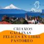 # 2