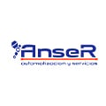 Anser