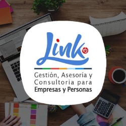 LINK GESTIÓN Y CONSULTORA SpA