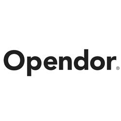 Sociedad De Servicios Publicitarios Opendor S.A.