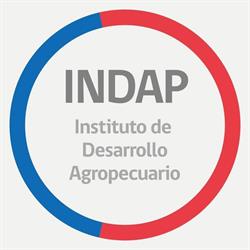Indap central