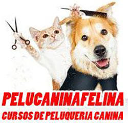 Escuela Pelucaninafelina