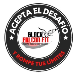 Creaciones Black Falcon SpA