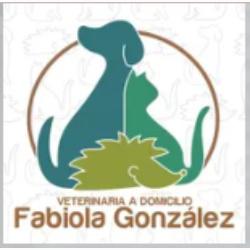 Veterinaria a domicilio Fabiola González