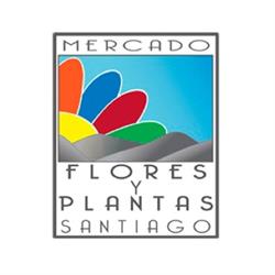 MERCADO DE FLORES Y PLANTAS DE SANTIAGO