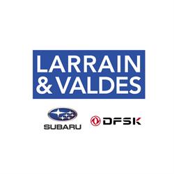 Larrain y Valdes Ltda
