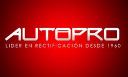 Rectificadora Autopro Limitada