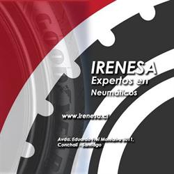 IRENESA Serviteca Goodyear Santiago
