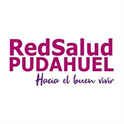 Corporacion Municipal De Desarrollo Social De Pudahuel
