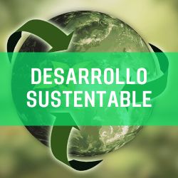 Desarrollo Sustentable Ltda.