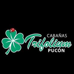 Cabañas Trifolium Pucón