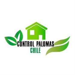 Control Palomas Chile