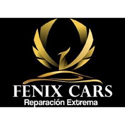 FENIXCARS Taller de Desabolladura y Pintura