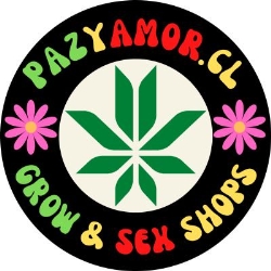 PAZYAMOR.CL S.p.A.