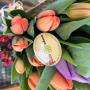 Tulipanes