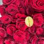 rosas las condes