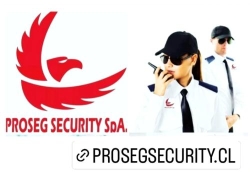 Seguridad privada, punta arenas