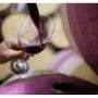 Nuestros servicios y productos: Producción de vino
Enoturismo
Casona Colonial
Turismo
Viñedo
Comercialización de vino