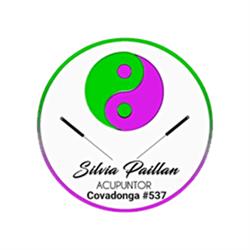 Acupuntura - Silvia Paillan Gutiérrez