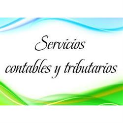 Servicios contables y tributarios PALC