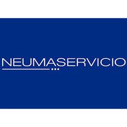 Neumaservicio Iquique Ltda.