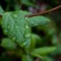 # 1
