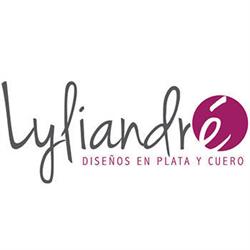 Lyliandré Zapatos y Carteras