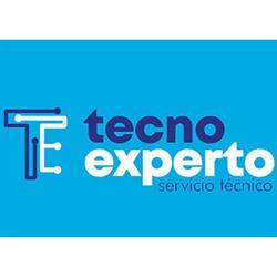 TE  tecno experto