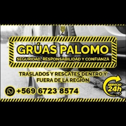 Grúa Concepción