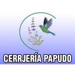CERRAJERÍA PAPUDO