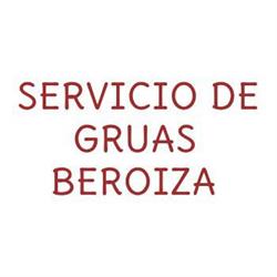 SERVICIO DE GRÚAS BEROIZA