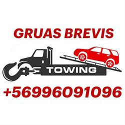 GRUAS BREVIS