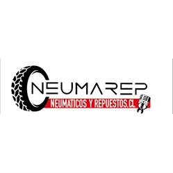 NEUMAREP SPA
