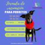 Médico Veterinaria
Postítulo en Citodiagnóstico
Atención a domicilio en Talca
Farmacia Veterinaria y Aromaterapia para animales
23 oriente 1441 Talca
