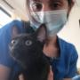 Médico Veterinaria
Postítulo en Citodiagnóstico
Atención a domicilio en Talca
Farmacia Veterinaria y Aromaterapia para animales
23 oriente 1441 Talca