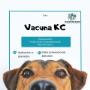 Médico Veterinaria
Postítulo en Citodiagnóstico
Atención a domicilio en Talca
Farmacia Veterinaria y Aromaterapia para animales
23 oriente 1441 Talca