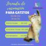 Médico Veterinaria
Postítulo en Citodiagnóstico
Atención a domicilio en Talca
Farmacia Veterinaria y Aromaterapia para animales
23 oriente 1441 Talca